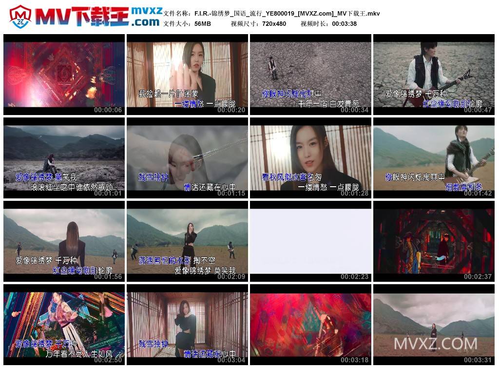F.I.R.-锦绣梦_国语_流行_YE800019